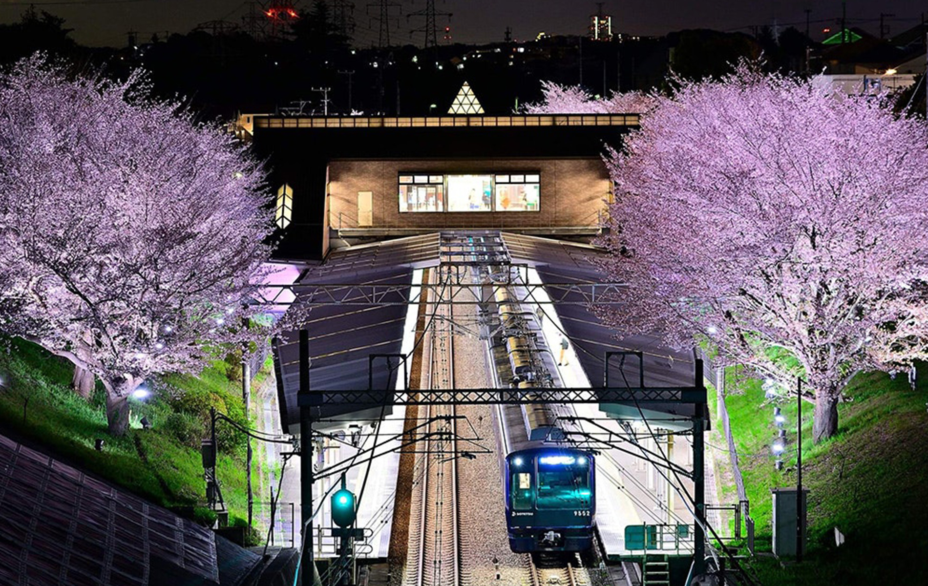 ホーム